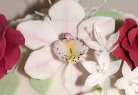 /album/torty-s-kvetmi/orch-800-jpg1/